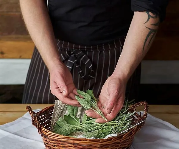 酒店 恩兹安酒店 4*